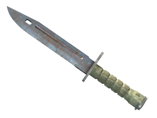 Buy CS2 knife ★ Bayonet | Rust Coat (Well-Worn) skin