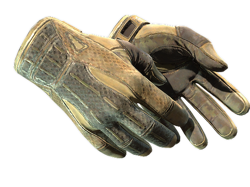 Buy CS2 gloves ★ Sport Gloves | Arid (Battle-Scarred) skin