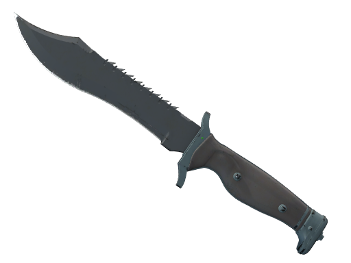 Buy CS2 knife ★ StatTrak™ Bowie Knife | Night (Field-Tested) skin
