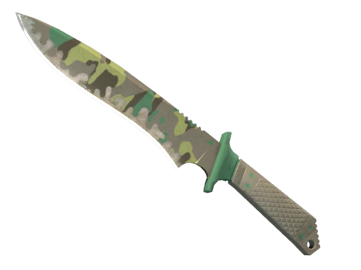 Buy CS2 knife ★ Classic Knife | Boreal Forest (Well-Worn) skin