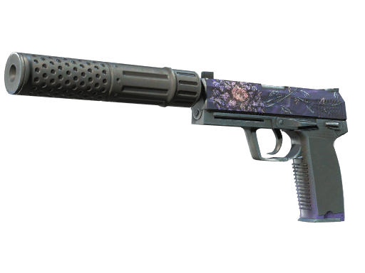 Buy CS2 pistol USP-S | Black Lotus (Field-Tested) skin