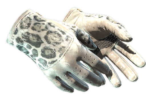 Buy CS2 gloves ★ Driver Gloves | Snow Leopard (Field-Tested) skin