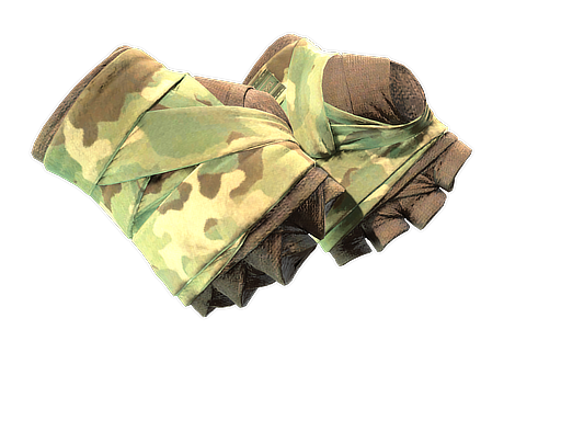 Buy CS2 gloves ★ Hand Wraps | Arboreal (Well-Worn) skin