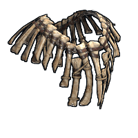 Buy Rust hide poncho Bone Armor Poncho skin