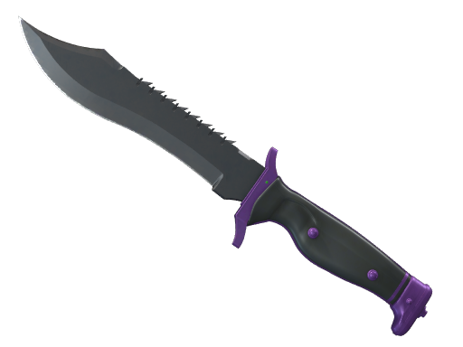 Buy CS2 knife ★ StatTrak™ Bowie Knife | Ultraviolet (Minimal Wear) skin