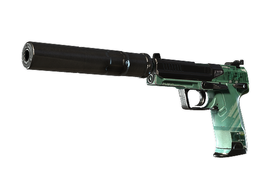 Buy CS2 pistol USP-S | PC-GRN (Well-Worn) skin