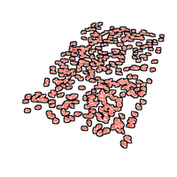 Buy Rust misc Rose Pedals Rug skin