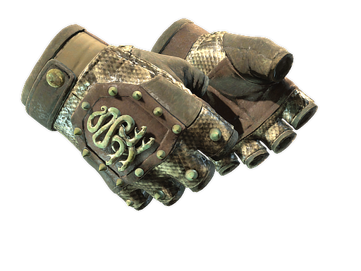 Buy CS2 gloves ★ Hydra Gloves | Rattler (Well-Worn) skin
