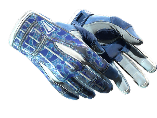 Buy CS2 gloves ★ Sport Gloves | Amphibious (Field-Tested) skin