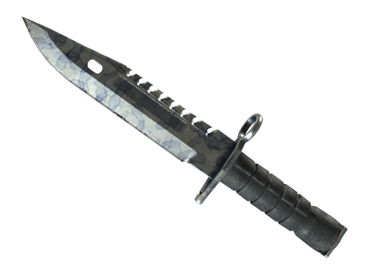 Buy CS2 knife ★ StatTrak™ M9 Bayonet | Stained (Field-Tested) skin