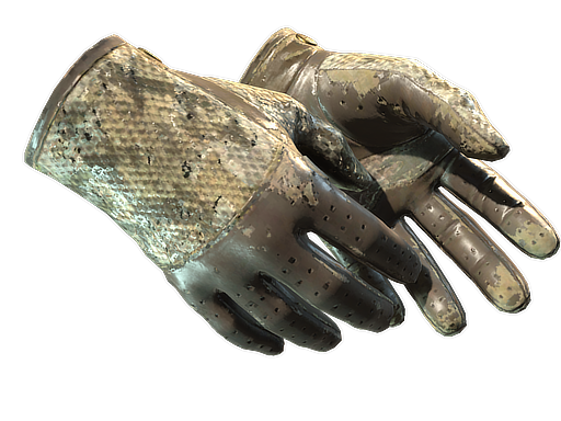 Buy CS2 gloves ★ Driver Gloves | Diamondback (Battle-Scarred) skin
