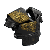 Buy Rust roadsign jacket Dragon Rage Vest skin