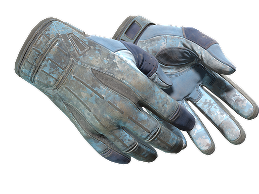 Buy CS2 gloves ★ Sport Gloves | Frosty (Battle-Scarred) skin