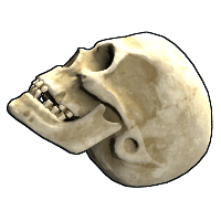 Buy Rust rock Skull skin