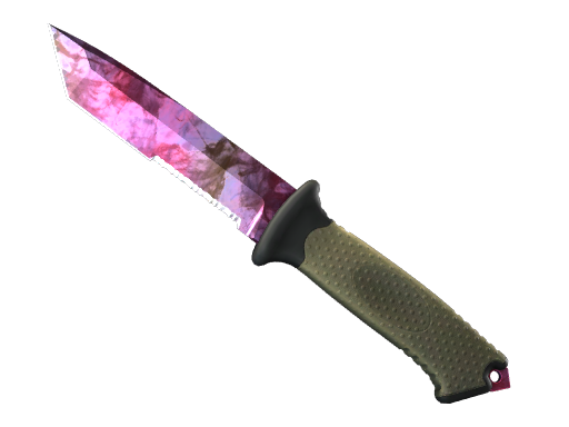 Buy CS2 knife ★ Ursus Knife | Doppler (Factory New) skin
