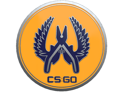 Buy CS2 collectible Guardian 2 Pin skin