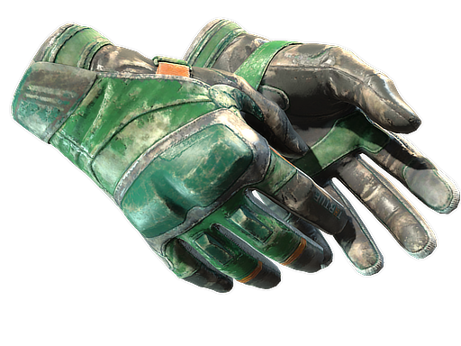 Buy CS2 gloves ★ Moto Gloves | Turtle (Battle-Scarred) skin
