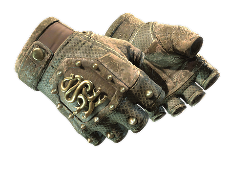 Buy CS2 gloves ★ Hydra Gloves | Mangrove (Battle-Scarred) skin