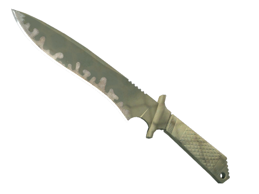 Buy CS2 knife ★ StatTrak™ Classic Knife | Safari Mesh (Field-Tested) skin