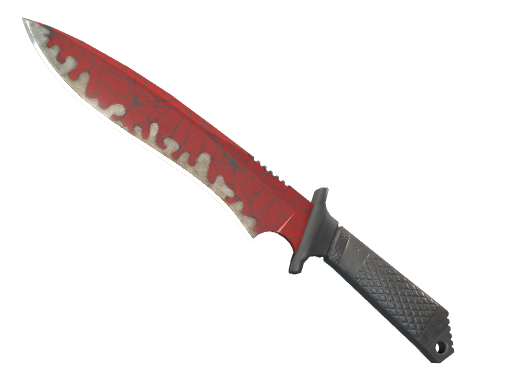 Buy CS2 knife ★ StatTrak™ Classic Knife | Crimson Web (Well-Worn) skin