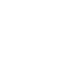Buy Dota 2  Tundra Esports Team Sticker - TI 2022 skin