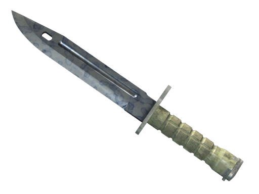 Buy CS2 knife ★ StatTrak™ Bayonet | Stained (Minimal Wear) skin