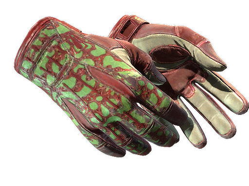 Buy CS2 gloves ★ Sport Gloves | Bronze Morph (Well-Worn) skin
