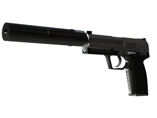 Buy CS2 pistol StatTrak™ USP-S | Stainless (Field-Tested) skin
