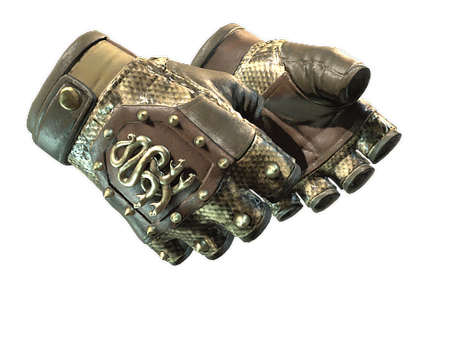 Buy CS2 gloves ★ Hydra Gloves | Rattler (Minimal Wear) skin