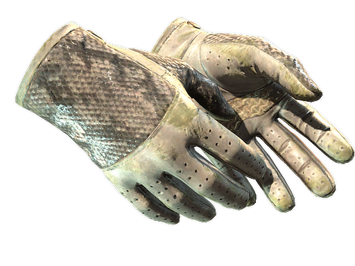Buy CS2 gloves ★ Driver Gloves | King Snake (Battle-Scarred) skin
