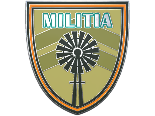 Buy CS2 collectible Militia Pin skin