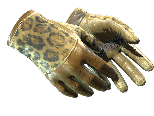 Buy CS2 gloves ★ Driver Gloves | Queen Jaguar (Well-Worn) skin