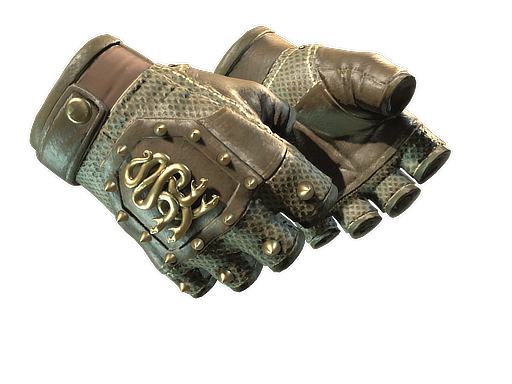 Buy CS2 gloves ★ Hydra Gloves | Mangrove (Minimal Wear) skin