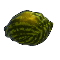 Buy Rust rock Ripe Watermelon skin