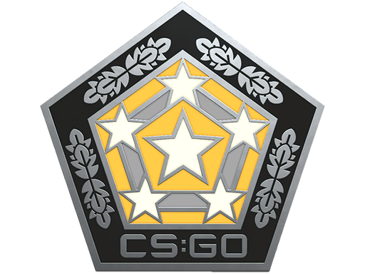 Buy CS2 collectible Chroma Pin skin