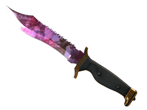 Buy CS2 knife ★ Bowie Knife | Doppler (Minimal Wear) skin