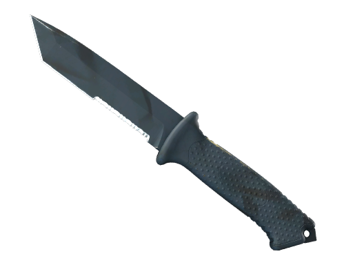Buy CS2 knife ★ Ursus Knife | Night Stripe (Well-Worn) skin