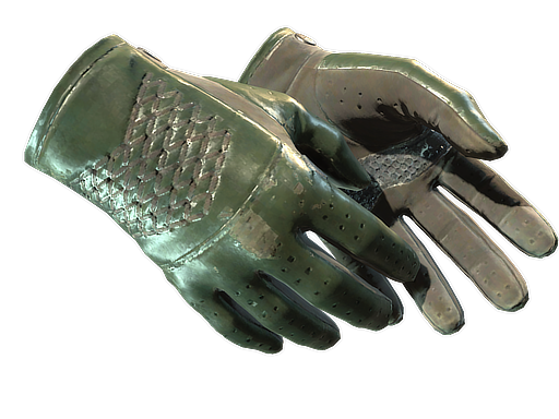 Buy CS2 gloves ★ Driver Gloves | Racing Green (Well-Worn) skin