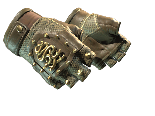 Buy CS2 gloves ★ Hydra Gloves | Mangrove (Factory New) skin