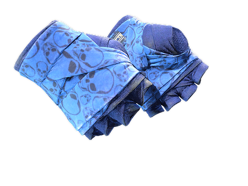 Buy CS2 gloves ★ Hand Wraps | Cobalt Skulls (Field-Tested) skin