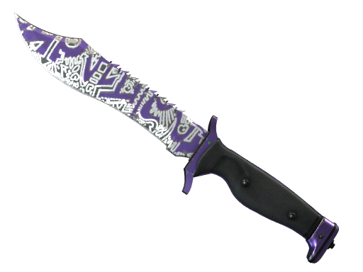 Buy CS2 knife ★ Bowie Knife | Freehand (Field-Tested) skin