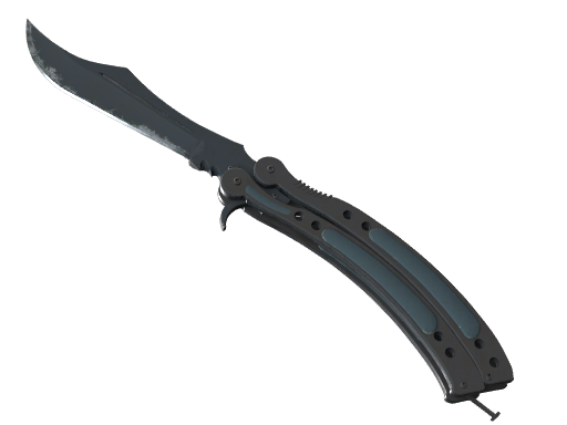 Buy CS2 knife ★ StatTrak™ Butterfly Knife | Night (Field-Tested) skin
