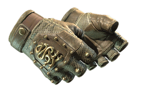 Buy CS2 gloves ★ Hydra Gloves | Mangrove (Well-Worn) skin