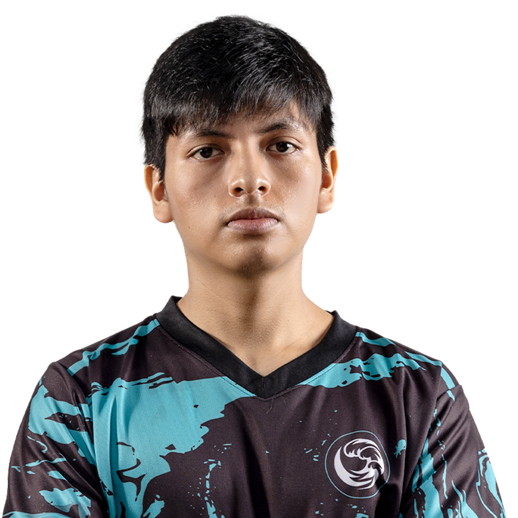 Buy Dota 2  Glitter payk Player Sticker - TI 2024 skin