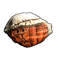 Buy Rust rock Hermit Crab Rock skin