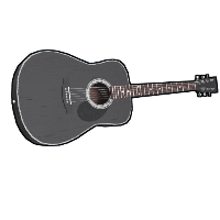 Buy Rust weapon Black Acoustic Guitar skin