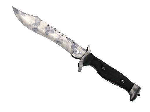 Buy CS2 knife ★ Bowie Knife | Stained (Factory New) skin