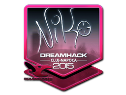 Buy CS2 sticker Sticker | NiKo (Foil) | Cluj-Napoca 2015 skin