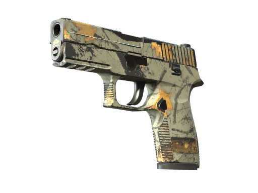 Buy CS2 pistol P250 | Modern Hunter (Field-Tested) skin