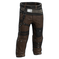Buy Rust pants Caravanner Pants skin